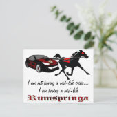 Rumspringa halverwege de levensduur briefkaart (Staand voorkant)