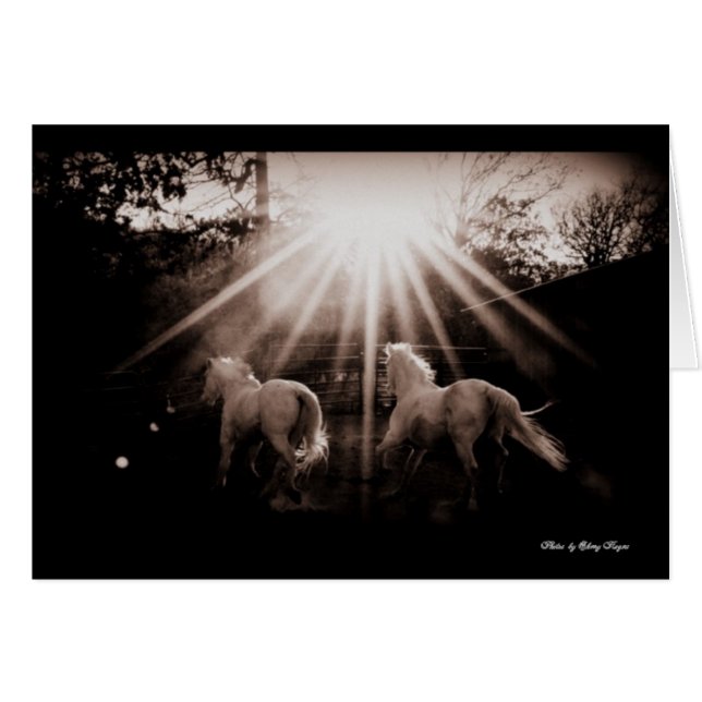 ~Run Andalusiaanse run~ (Voorkant Horizontaal)