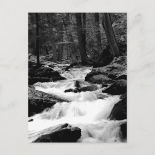 Run Creek Pond Briefkaart