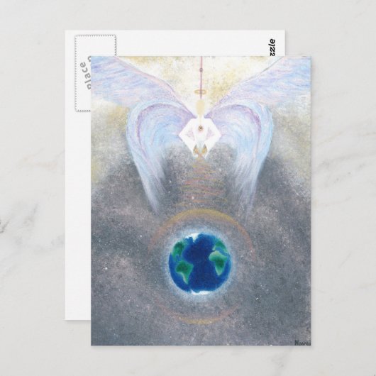 Runderen - Briefkaart (Voorkant / Achterkant)