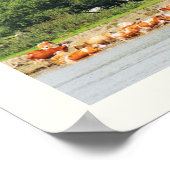 Runderen en de Donau Poster (Hoek)