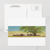 runderen, koeien briefkaart (Voorkant / Achterkant)