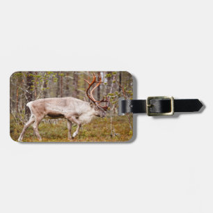 Runderen lopen in het bos bagagelabel
