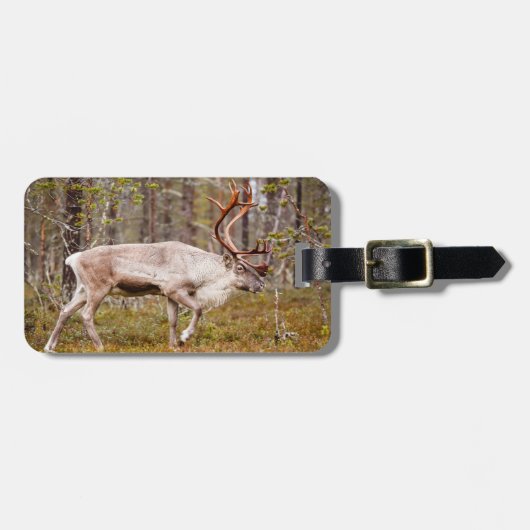 Runderen lopen in het bos bagagelabel (Voorkant horizontaal)