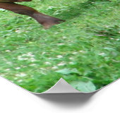 Runderen Poster (Hoek)