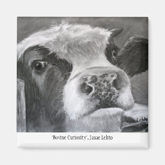 Rundernieuwsgierigheid Magneet