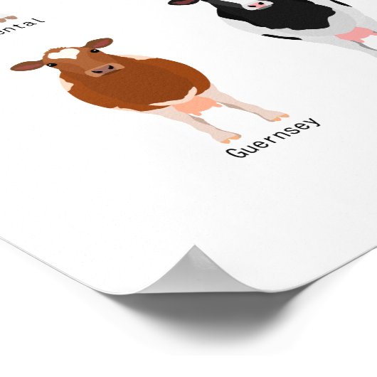 runderrassenkaart poster (Hoek)