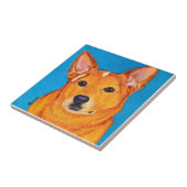 Rundvedehond - "rood" tegeltje (Zijkant)