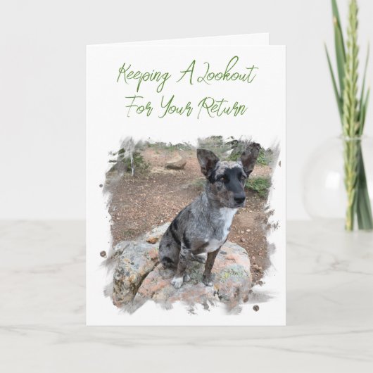 Rundvedog Fotoinjectienaald Ontbrekende Sjabloon (Voorkant)