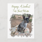 Rundvedog Fotoinjectienaald Ontbrekende Sjabloon Briefkaart (Voorkant)