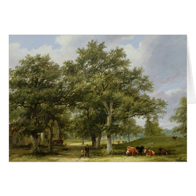 Rundvee (Voorkant Horizontaal)