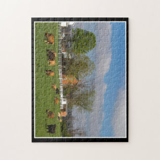 Rundvee 11x14 Puzzle door Thomas Minutolo Legpuzzel