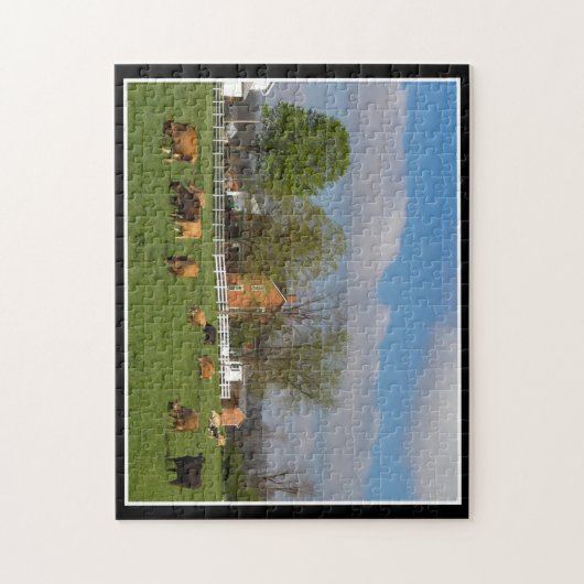 Rundvee 11x14 Puzzle door Thomas Minutolo Legpuzzel (Verticaal)