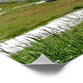 Rundvee boerderij La Chaux Poster (Hoek)