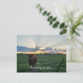 Rundvee Boerderij Sunset Briefkaart (Staand voorkant)