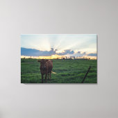 Rundvee Boerderij Sunset Canvas Afdruk (Voorkant)