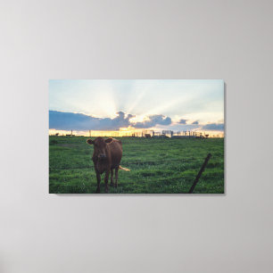 Rundvee Boerderij Sunset Canvas Afdruk