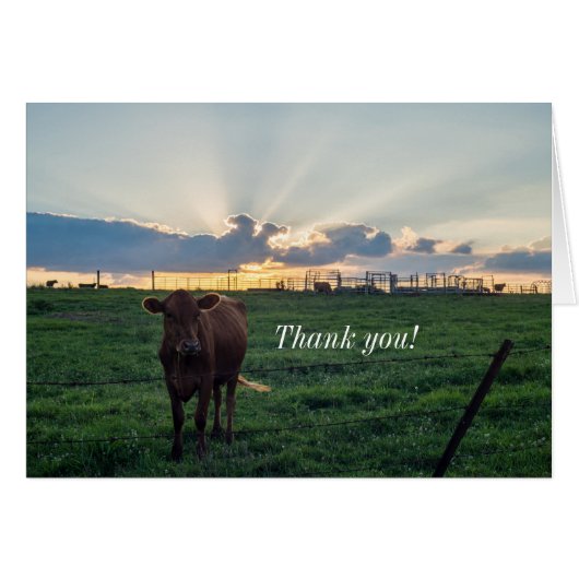 Rundvee Boerderij Sunset Hartelijk dank (Voorkant Horizontaal)