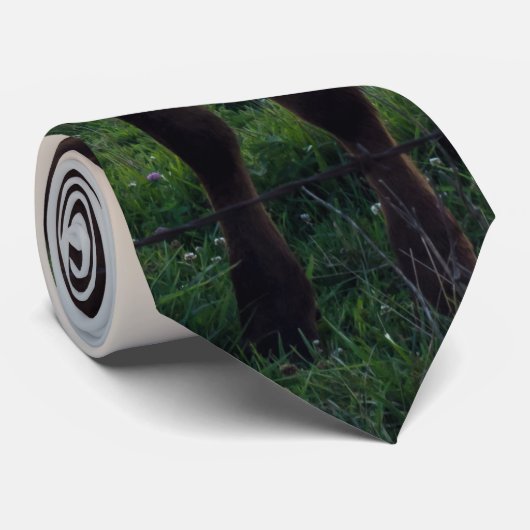 Rundvee Boerderij Sunset Stropdas (Opgerold)