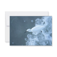 Rundvee Egret/Meeuwen en Puffin gerecycled