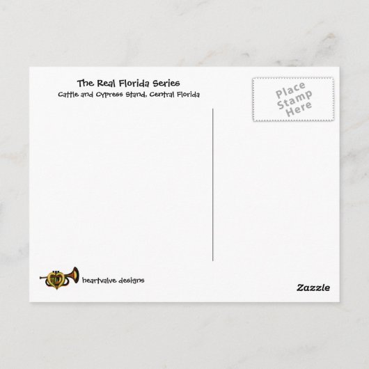 Rundvee en Cypress Briefkaart (Achterkant)