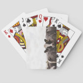 Rundvee en overbelaste hemel 2 speelkaarten (Achterkant)