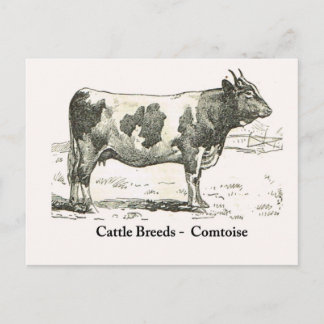 Rundvee, Frankrijk, Comtoise Briefkaart