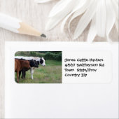 Rundvee het vervoeren van Boerderij of Ranch Stick Etiket (Insitu)