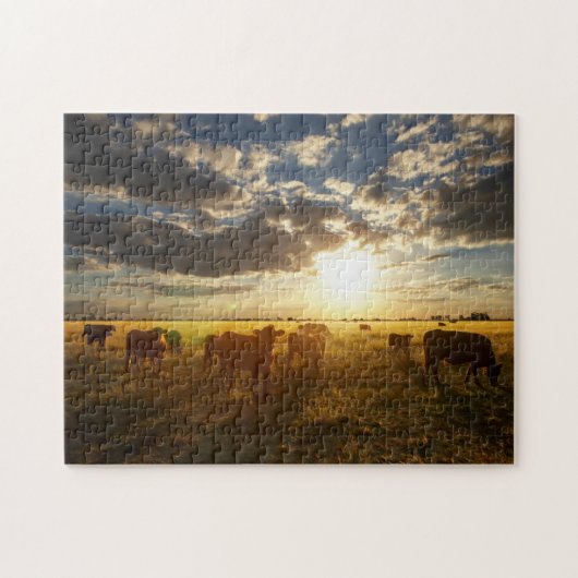 Rundvee in het veld, zonsondergang legpuzzel (Horizontaal)