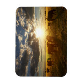 Rundvee in het veld, zonsondergang magneet (Verticaal)
