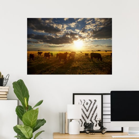 Rundvee in het veld, zonsondergang poster (Thuiskantoor)