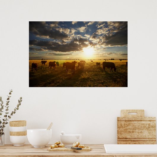 Rundvee in het veld, zonsondergang poster (Keuken)