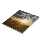 Rundvee in het veld, zonsondergang tegeltje (Zijkant)