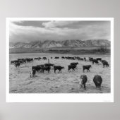 Rundvee in Zuid-Boerderij 1943 Poster (Voorkant)