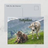 Rundvee in Zwitserland Briefkaart (Voorkant / Achterkant)