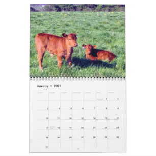 Rundvee Kalender