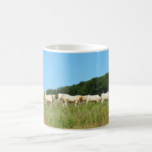 Rundvee Koffiemok