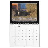 Rundvee Maandelijkse kalender 2017 van Thomas Minu (Feb 2027)