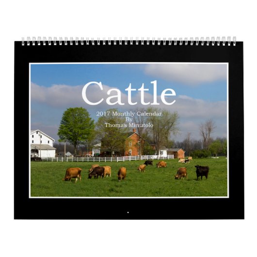 Rundvee Maandelijkse kalender 2017 van Thomas Minu (Hoes)