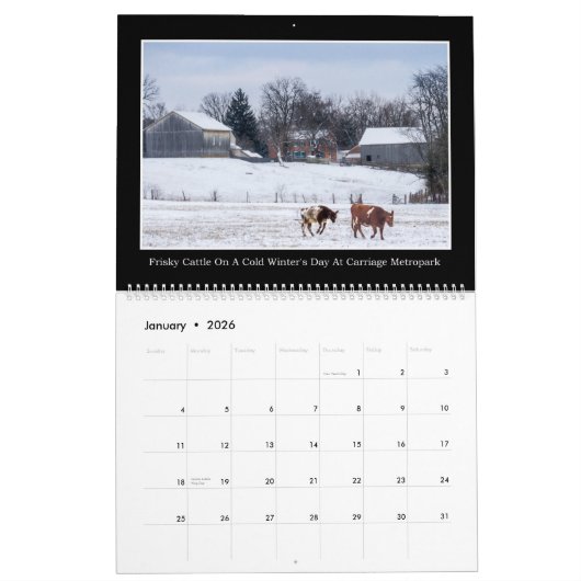 Rundvee Maandelijkse kalender 2017 van Thomas Minu (Jan 2026)