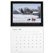 Rundvee Maandelijkse kalender 2017 van Thomas Minu (Jan 2027)