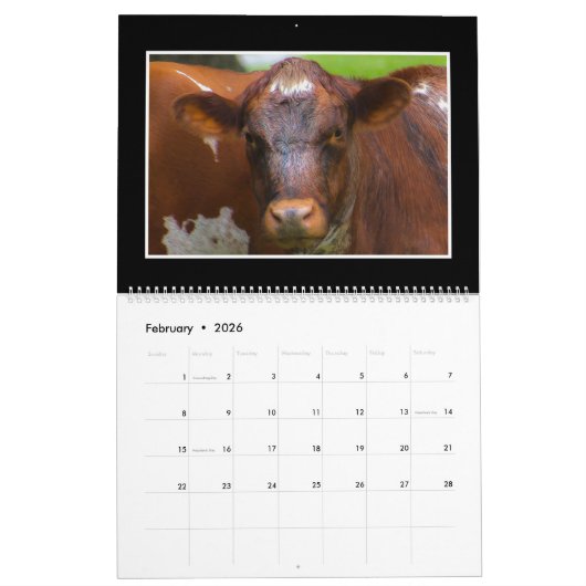 Rundvee Maandelijkse kalender 2018 van Thomas Minu (Feb 2026)