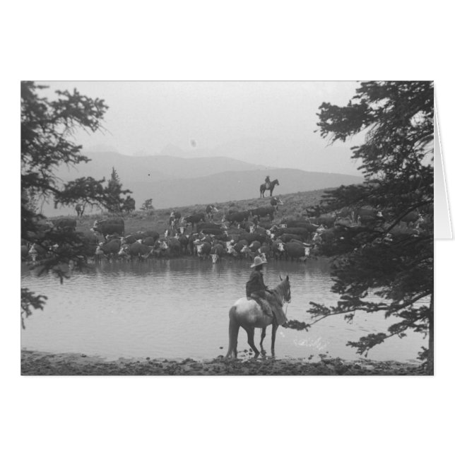 Rundvee met een vijver met twee cowboys (Voorkant Horizontaal)