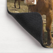 Rundvee Muismat (Hoek)