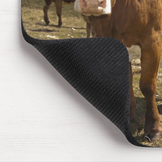 Rundvee Muismat (Hoek)