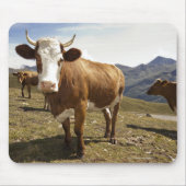 Rundvee Muismat (Voorkant)