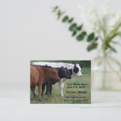 Rundvee- of inseminatiekaart visitekaartje (Staand voorkant)