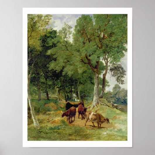 Rundvee op een Devonshire Lane Poster (Voorkant)