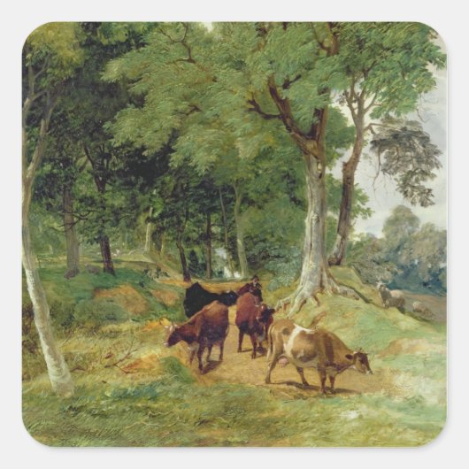 Rundvee op een Devonshire Lane Vierkante Sticker (Voorkant)