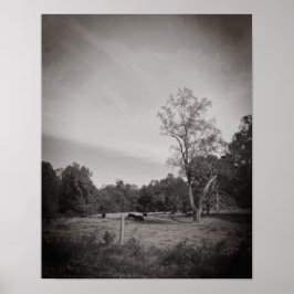 Rundvee op het Boerderij Poster